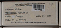 Image Associated With the Occurence